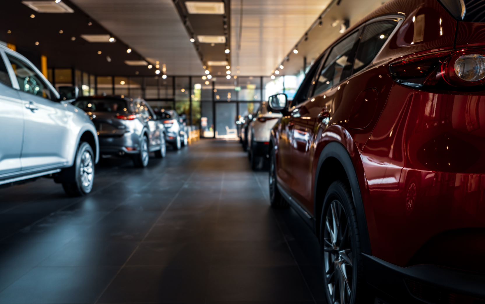 In einem hell erleuchteten Ausstellungsraum eines Autohauses mit polierten Böden und großen Fenstern im Hintergrund wird eine Reihe neuer Autos ausgestellt.