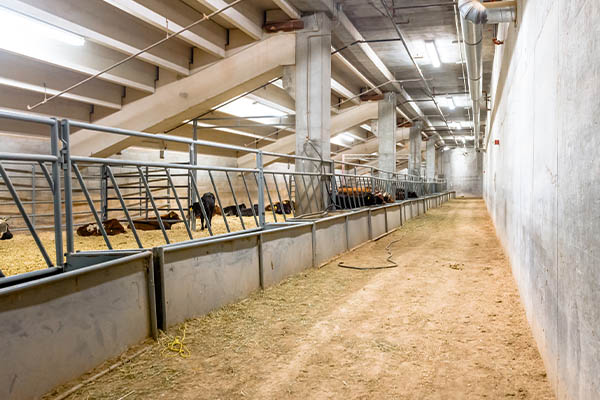 LED Beleuchtung für Ställe