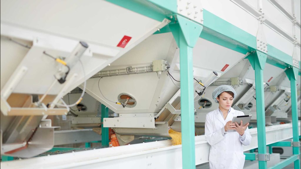 Frau steht in beleuchteter Halle in der Lebensmittelindustrie