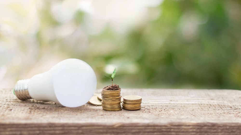 Glühbirne mit Geld aus dem eine Planze wächst für Tipps zum Energie sparen