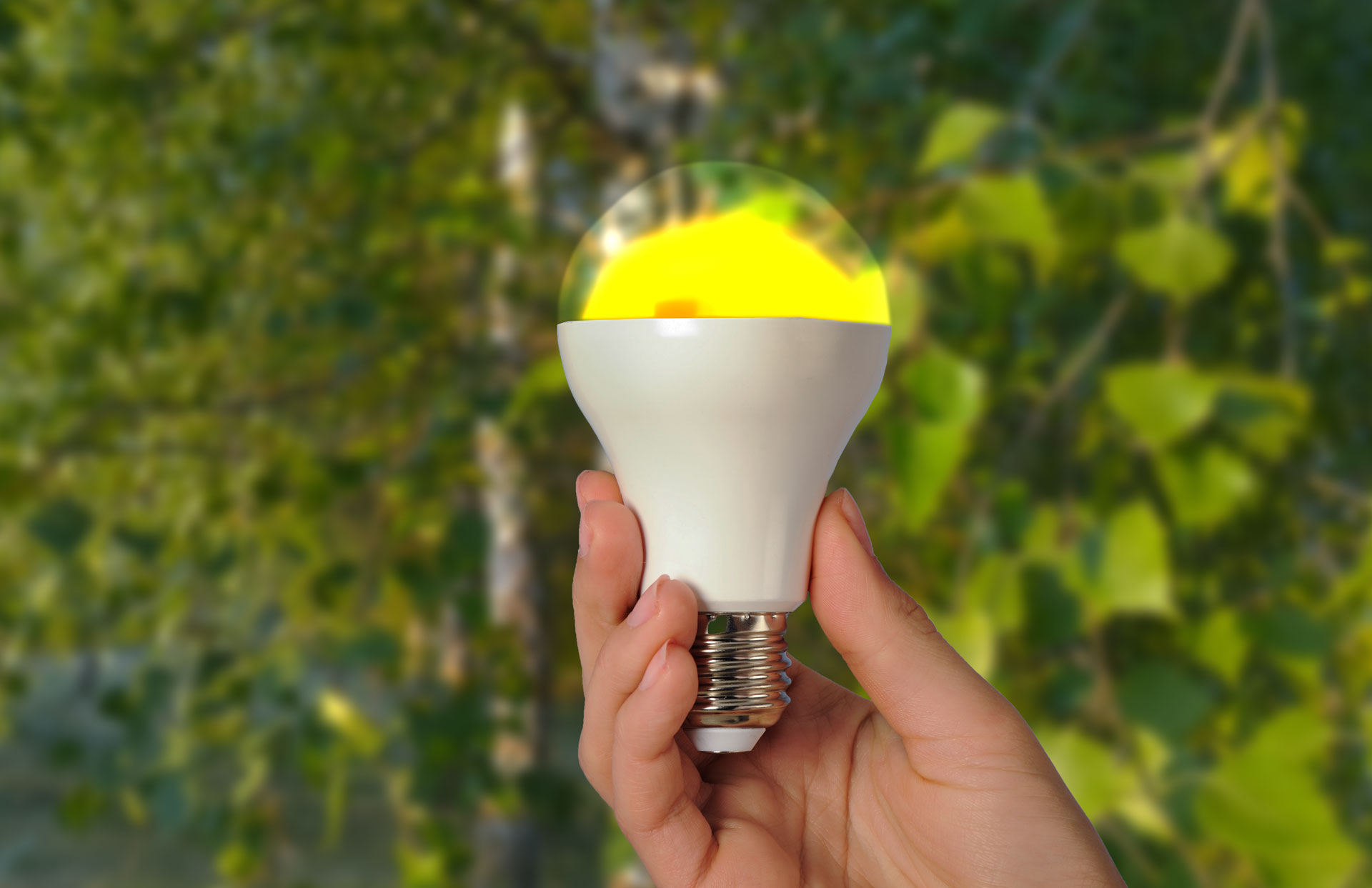 Nachhaltige Beleuchtung LED im Grünen